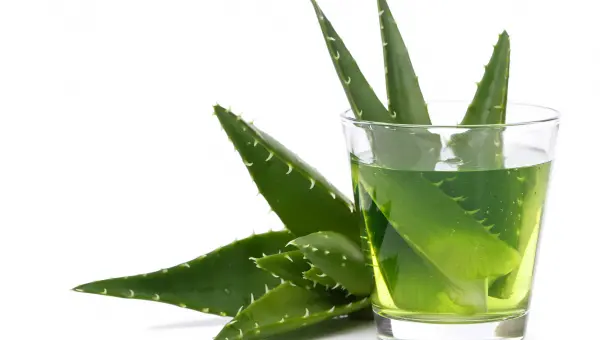 Das Geschäft mit Aloe-Vera-Produkten ist ein Multi-Milliardenmarkt